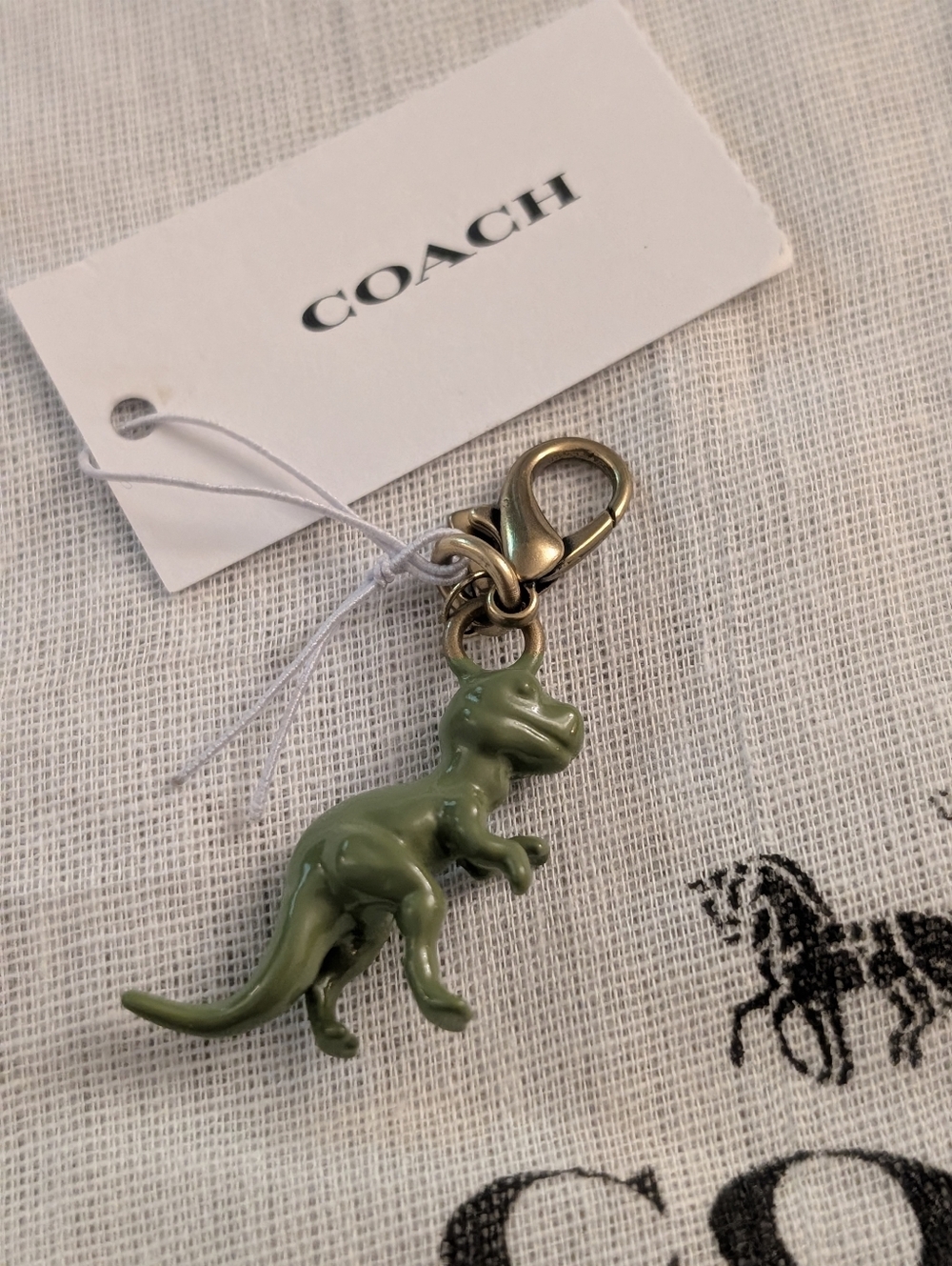 Coach DIY Green Dinosaur Charm